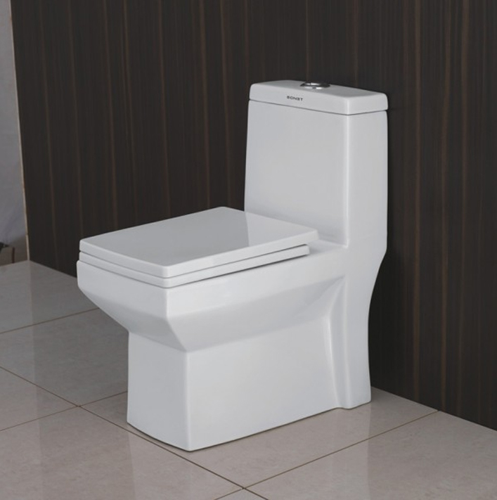Cruze-Single Piece Toilet